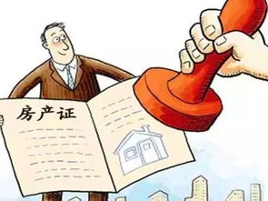 精装房成“拆烂污”，限时验房有猫腻，货不对板咋维权？